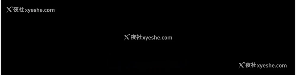 199P - 万能履历表