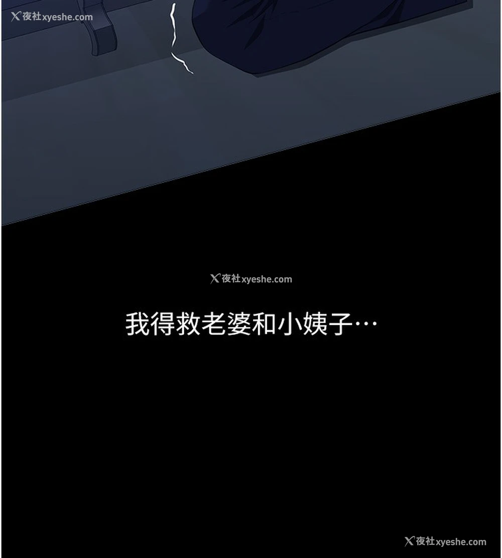 27P - 万能履历表