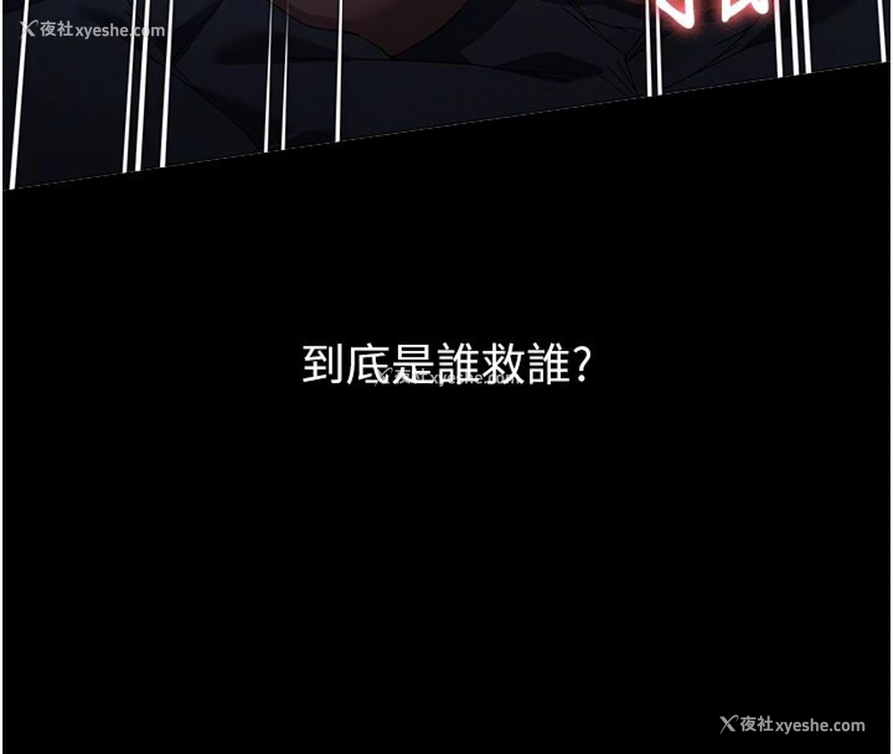 37P - 万能履历表
