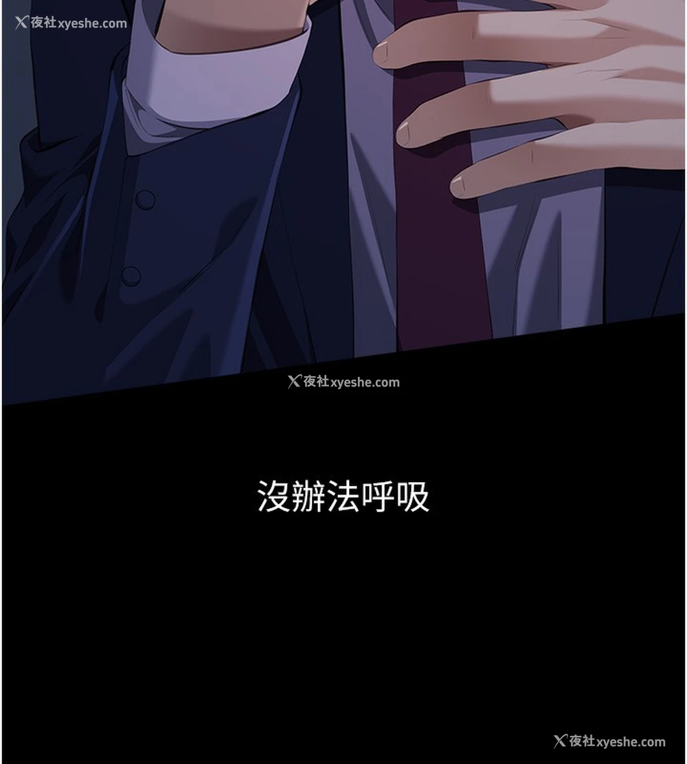 5P - 万能履历表