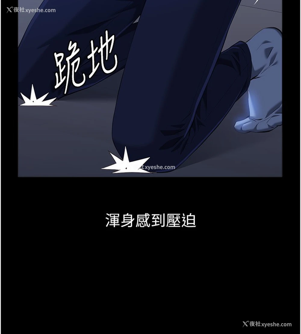 7P - 万能履历表