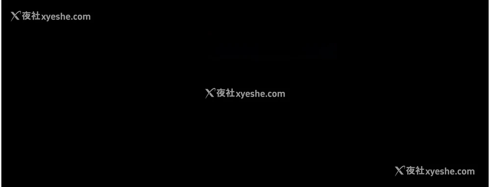 92P - 万能履历表