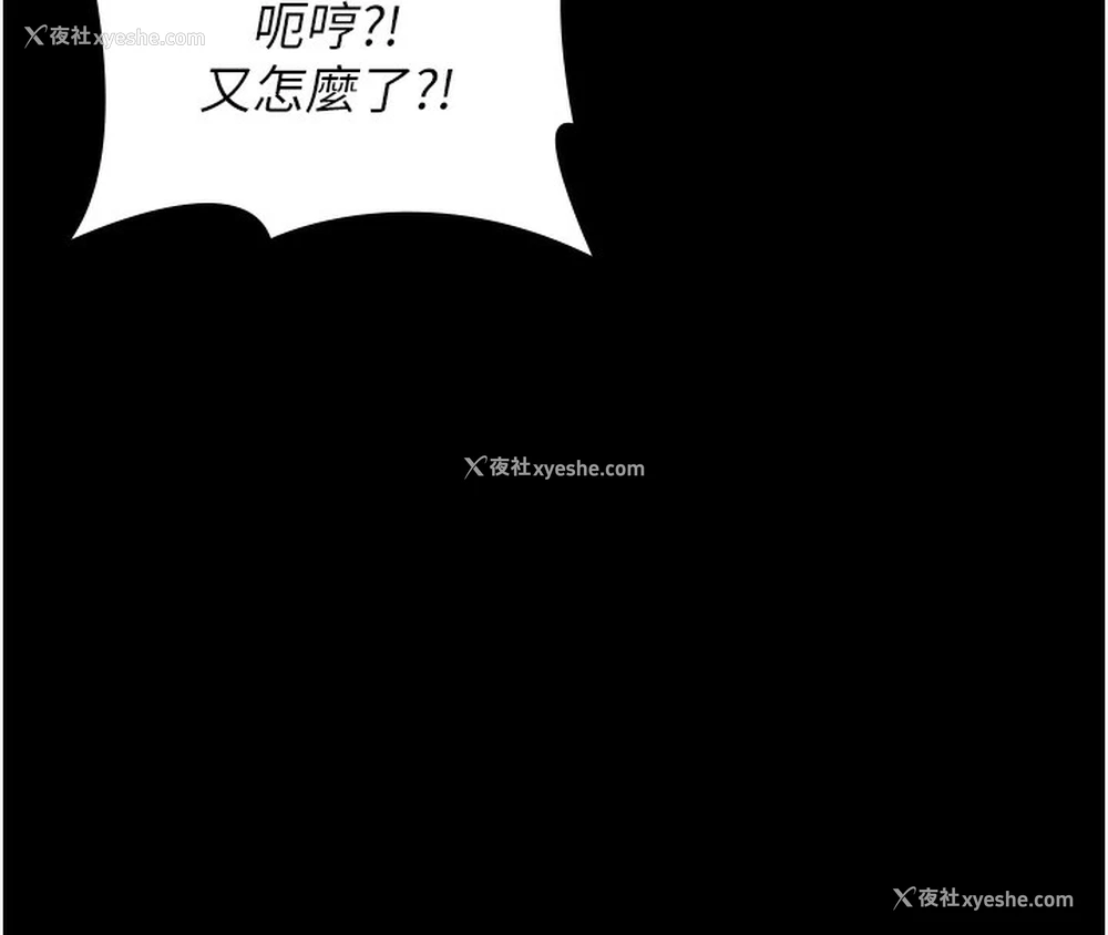 40P - 万能履历表