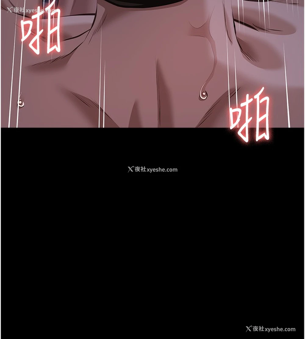 203P - 万能履历表