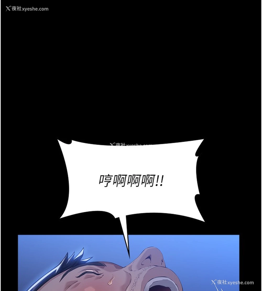 204P - 万能履历表