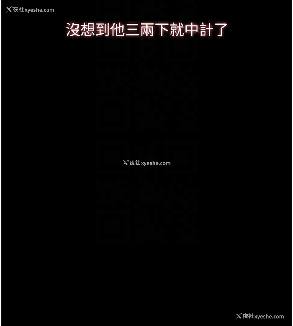 37P - 万能履历表