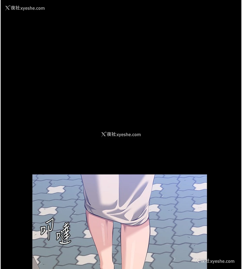 43P - 万能履历表