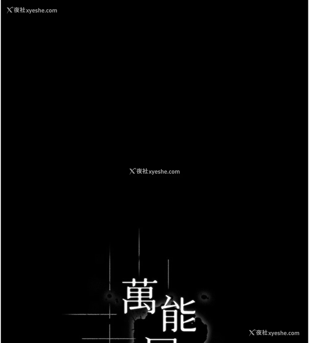 53P - 万能履历表