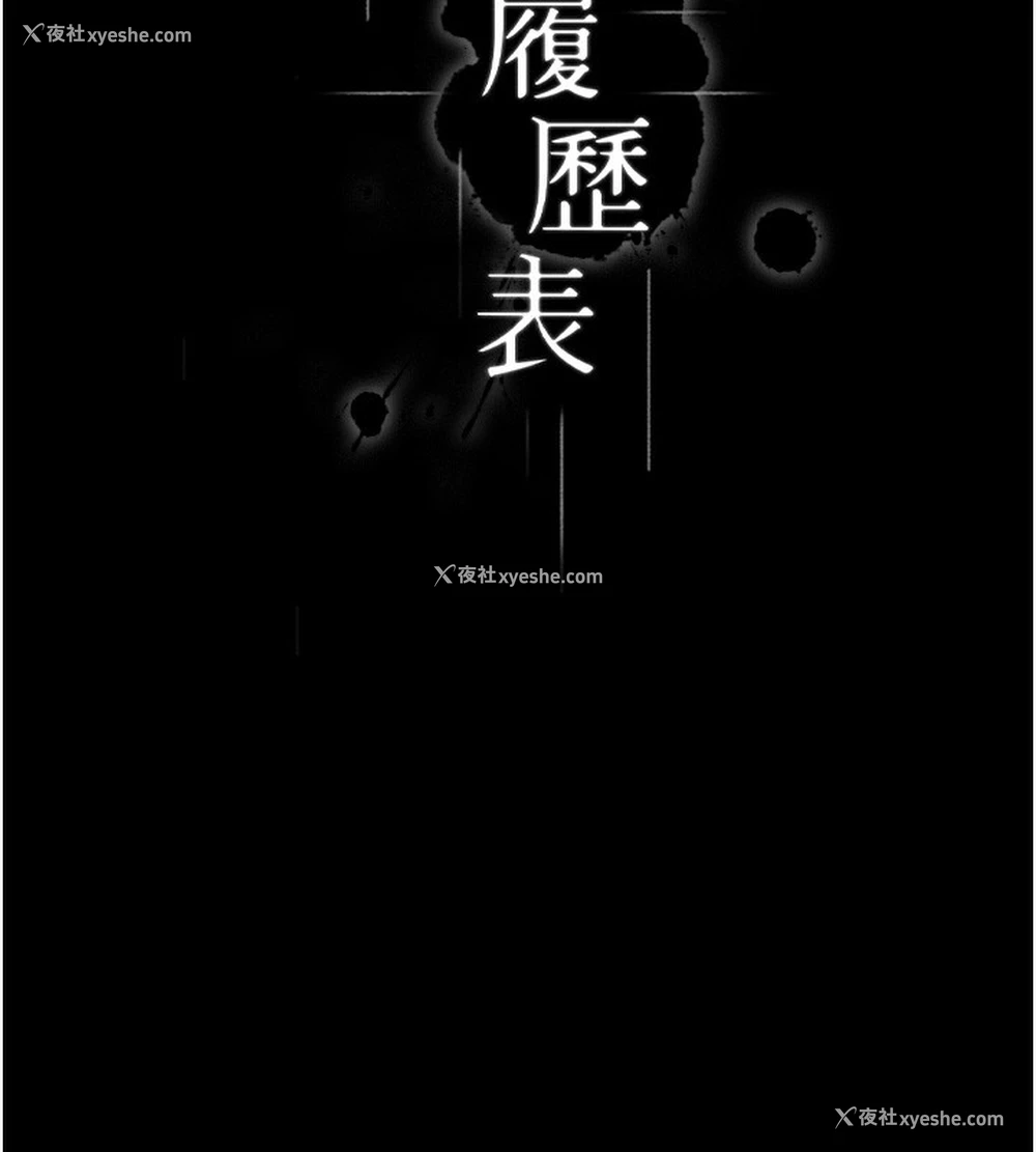 54P - 万能履历表