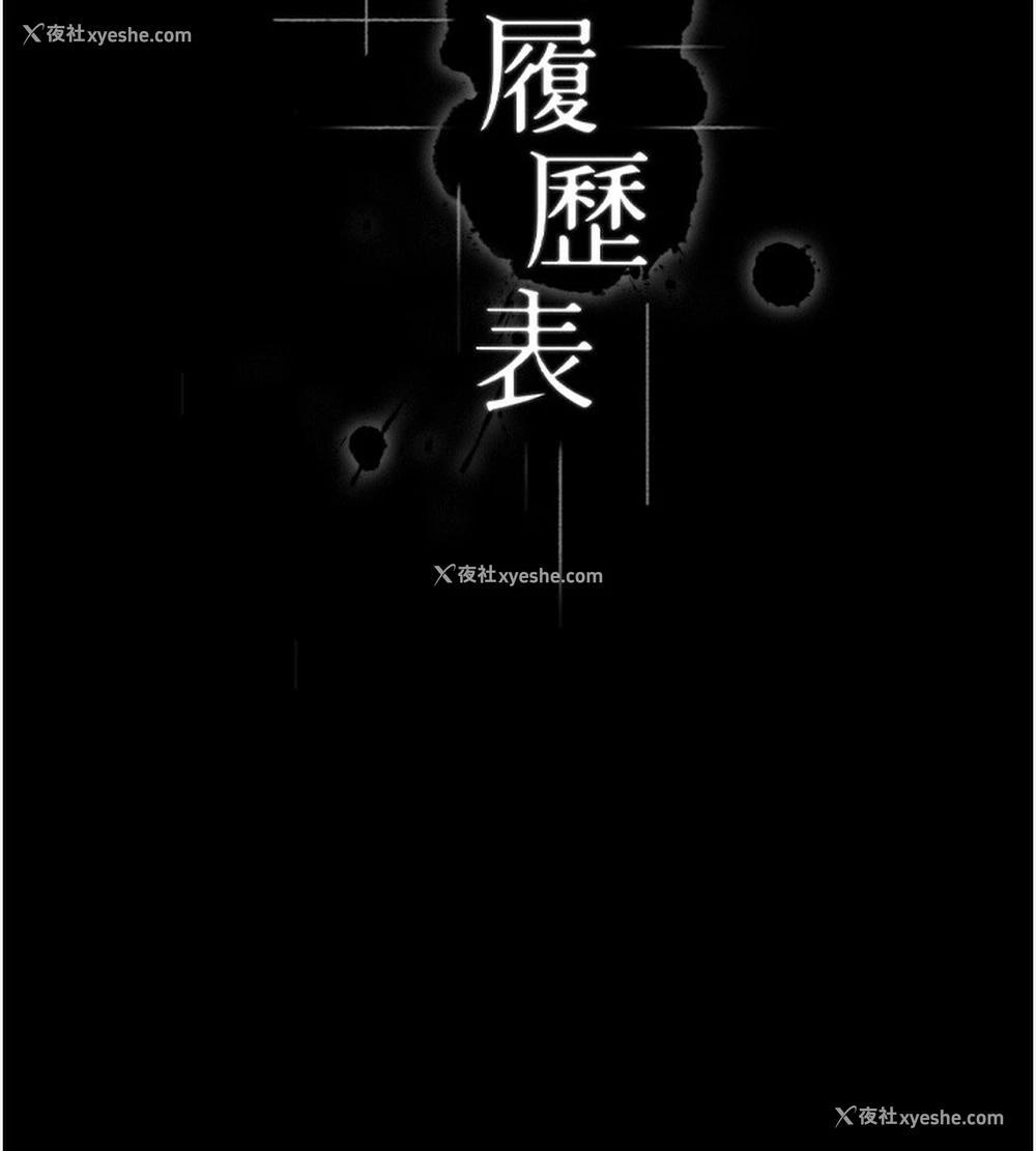 11P - 万能履历表