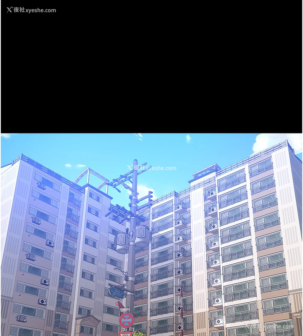 13P - 万能履历表