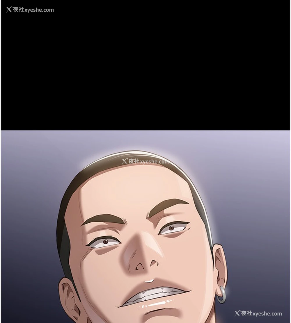 243P - 万能履历表
