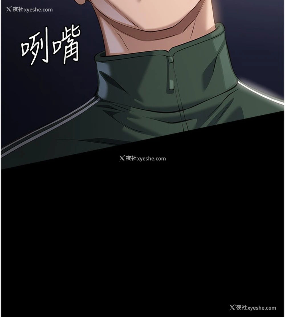 244P - 万能履历表