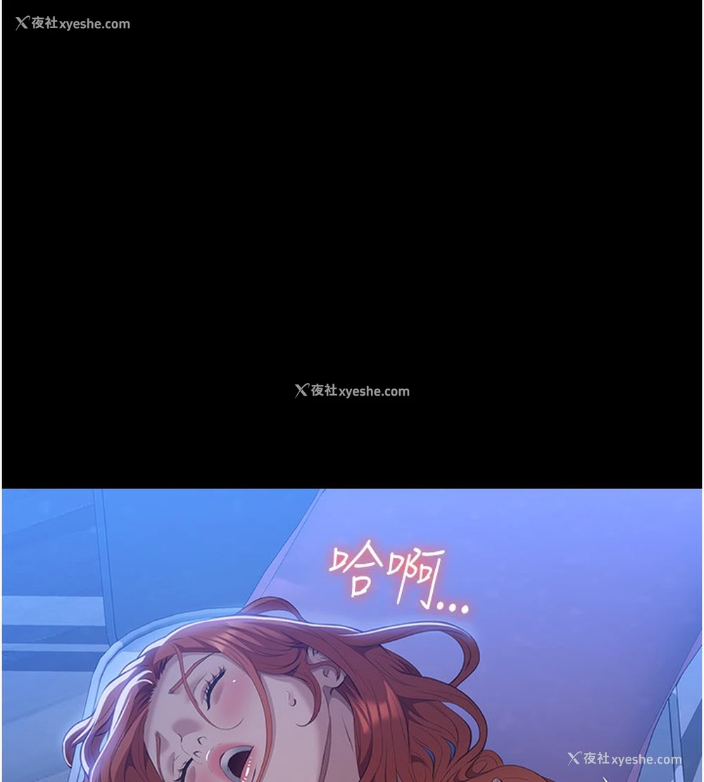 53P - 万能履历表