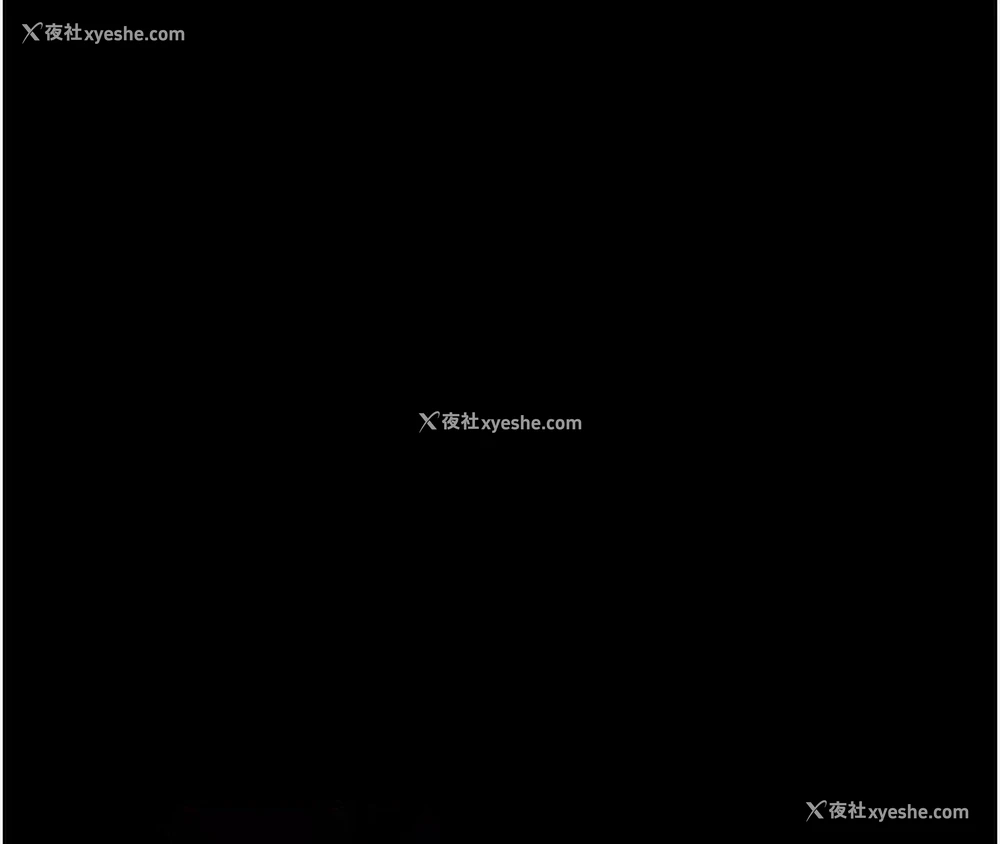 56P - 万能履历表