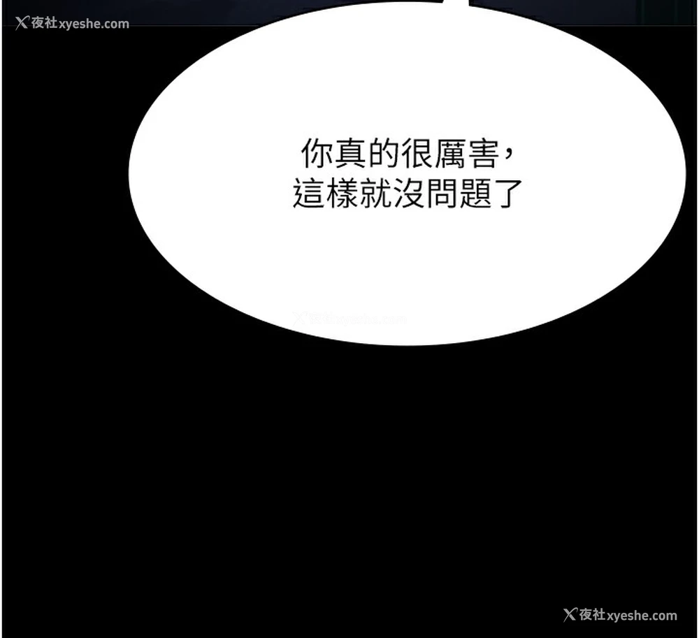12P - 万能履历表