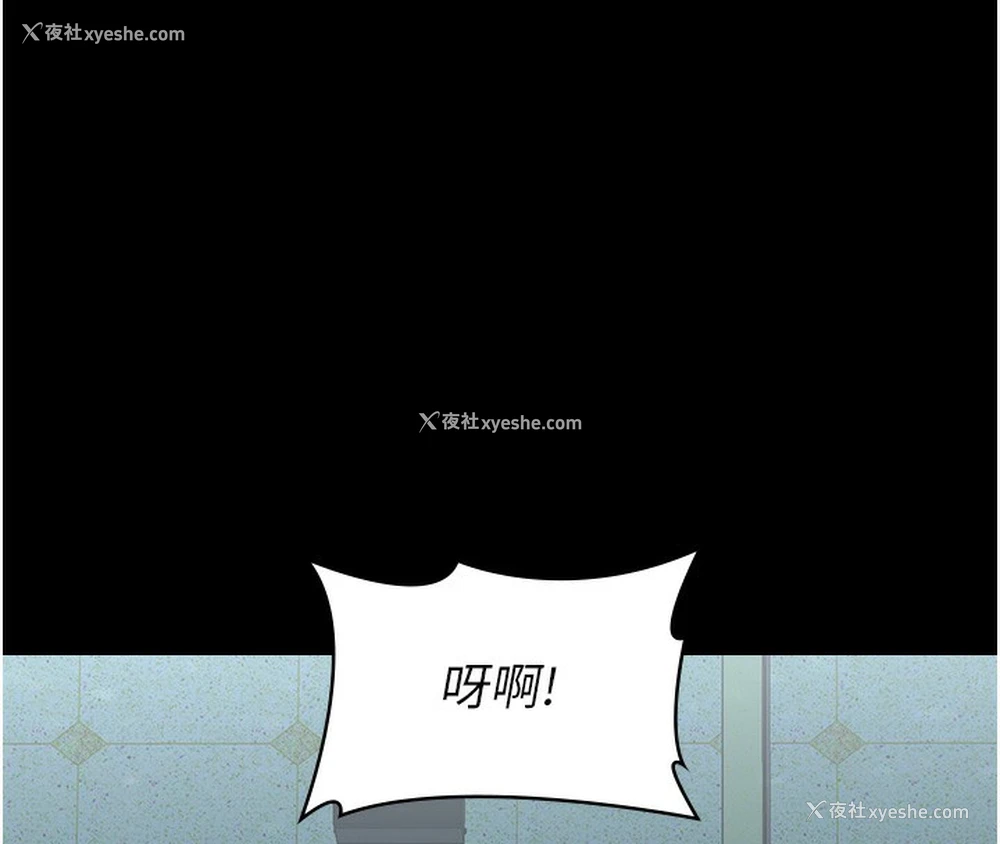 206P - 万能履历表