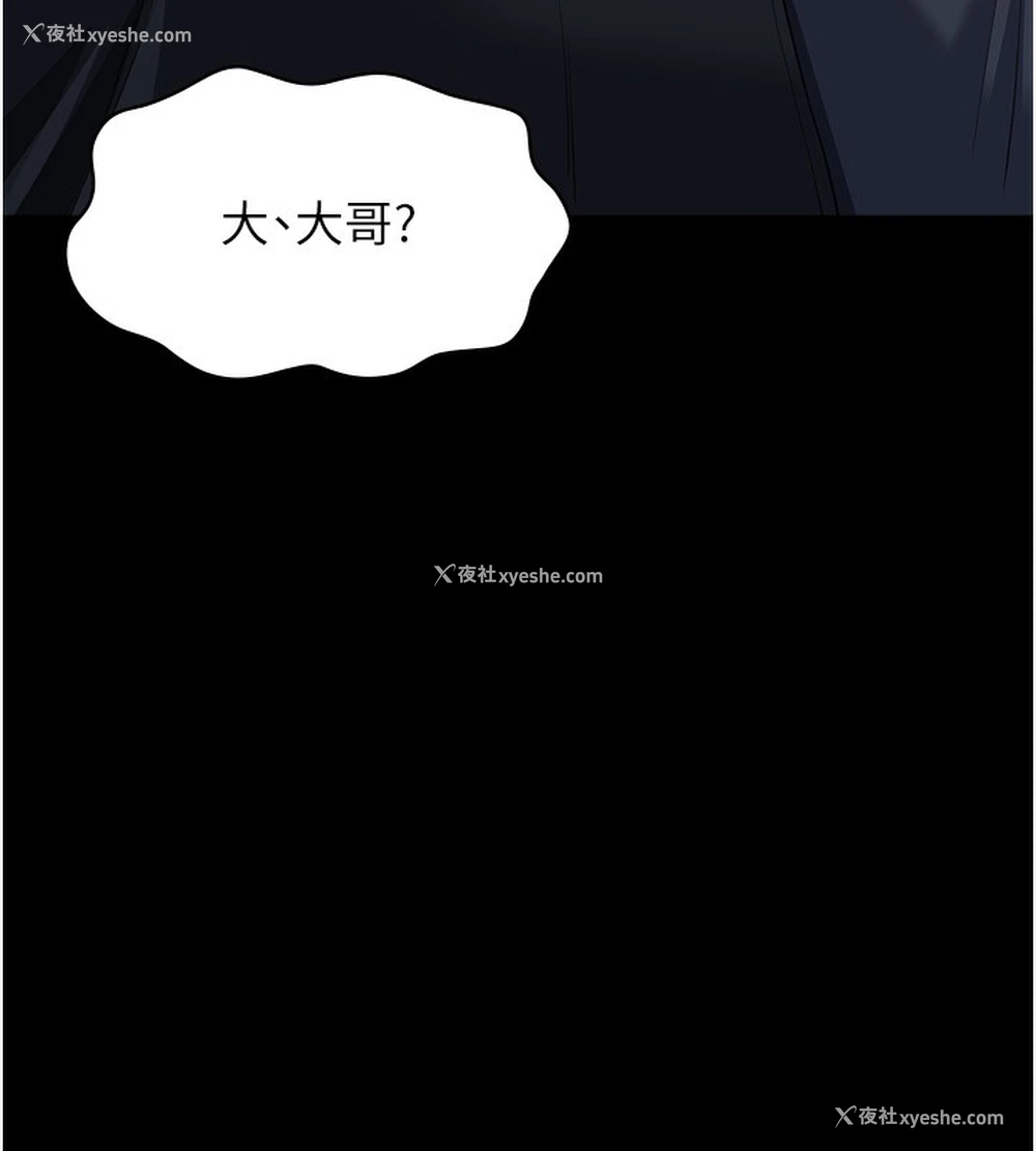 22P - 万能履历表