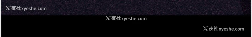 233P - 万能履历表