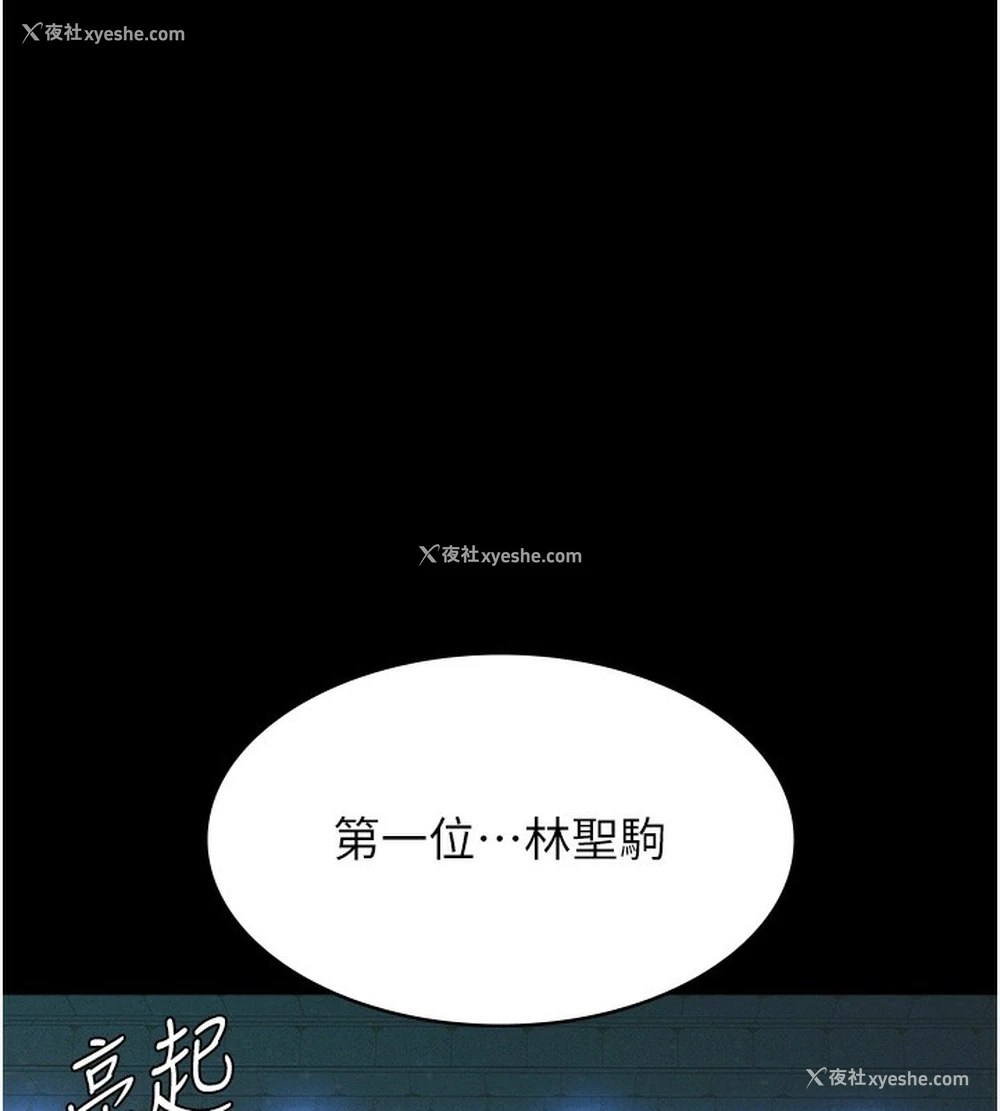 49P - 万能履历表