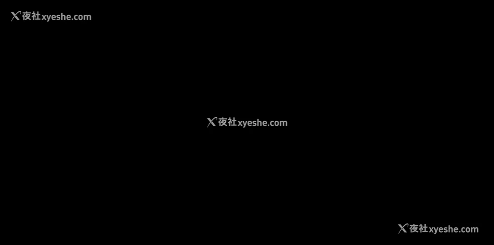 17P - 万能履历表