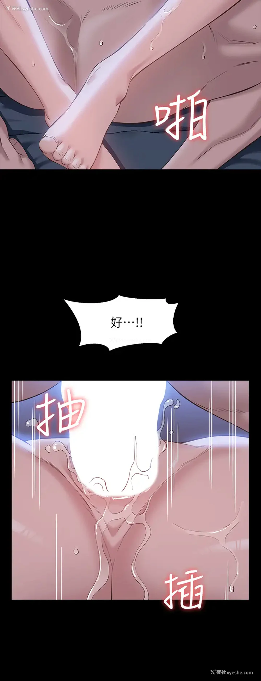 9P - 万能履历表