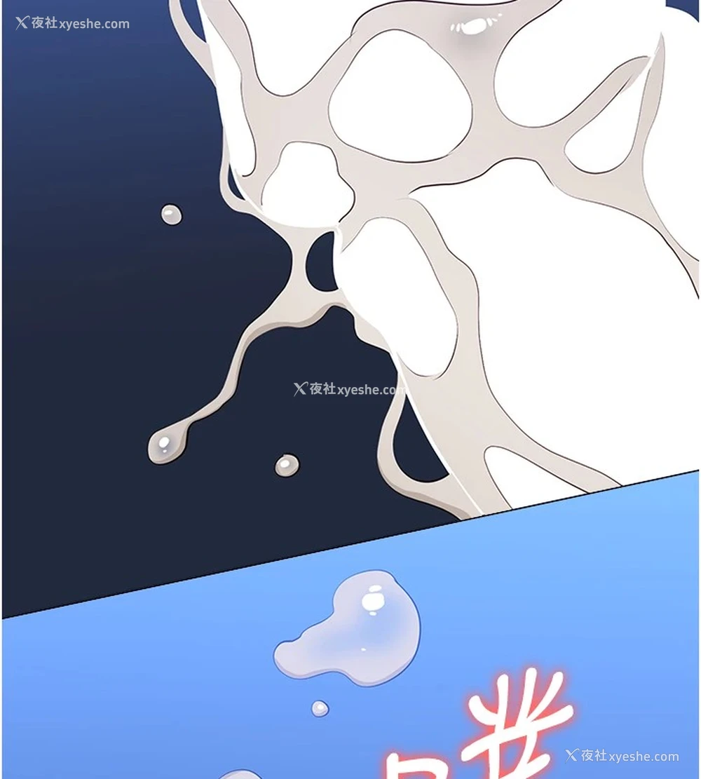 204P - 万能履历表