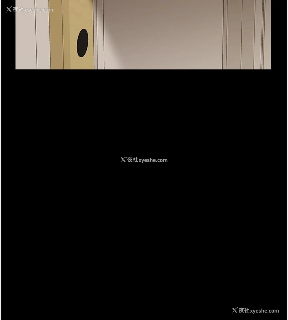242P - 万能履历表