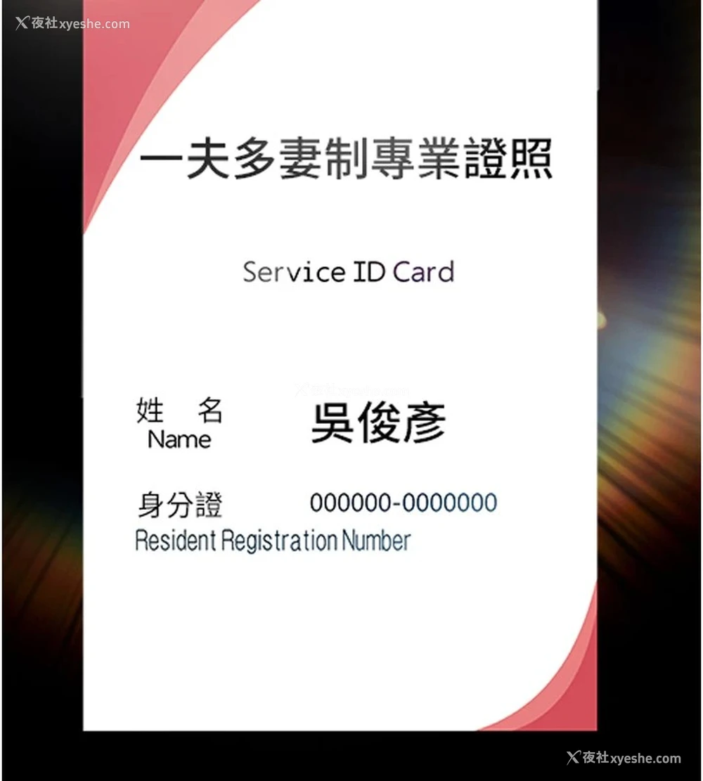 195P - 万能履历表