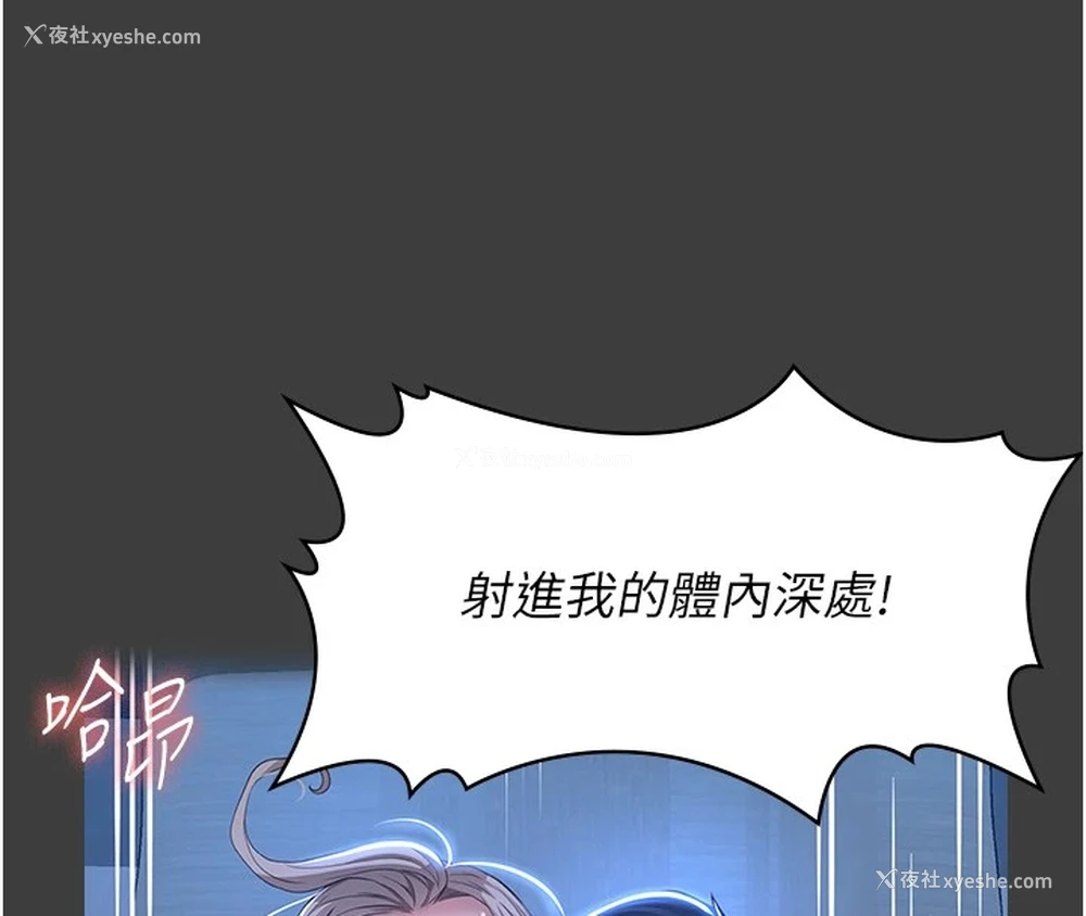 38P - 万能履历表