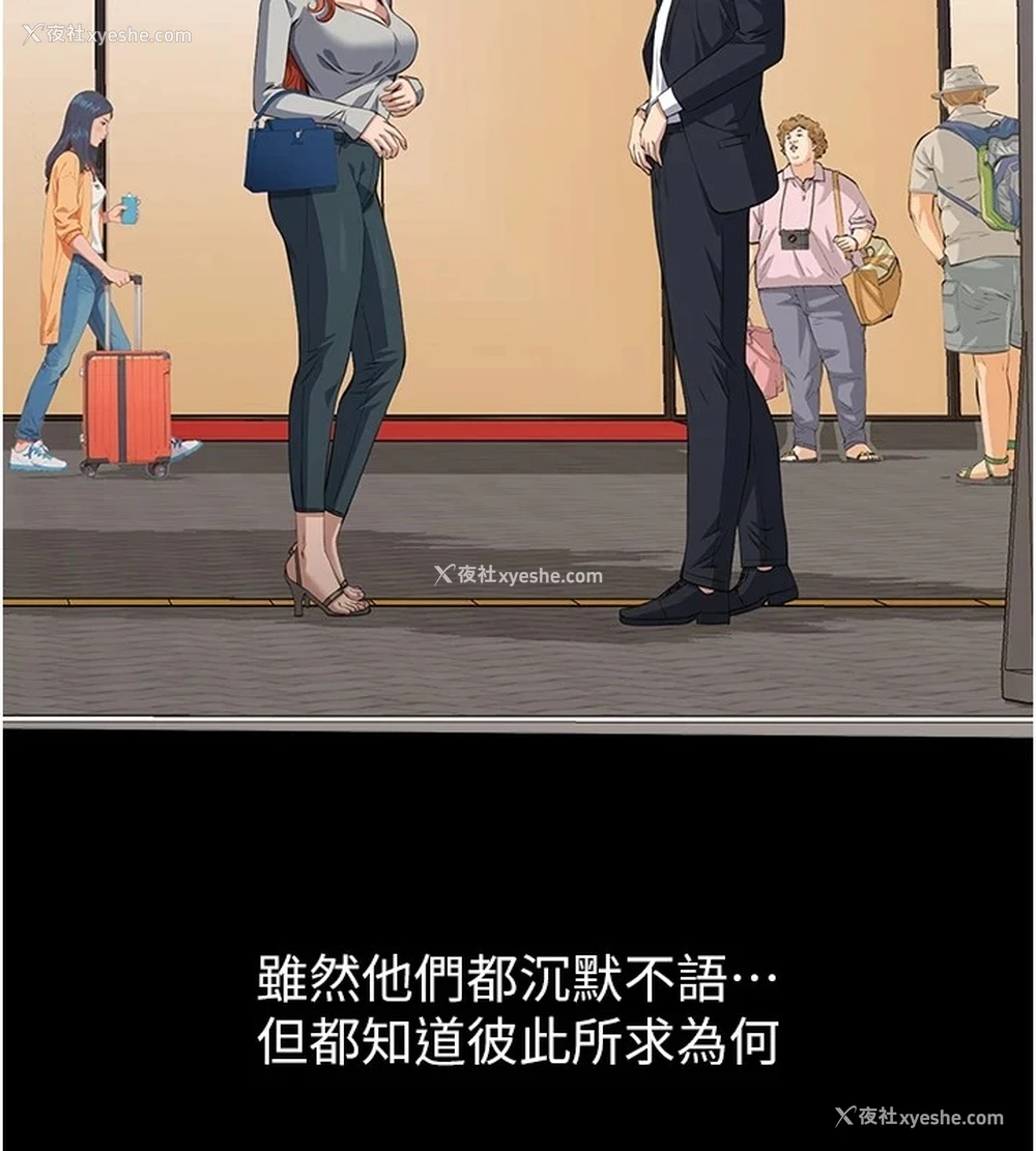 205P - 万能履历表