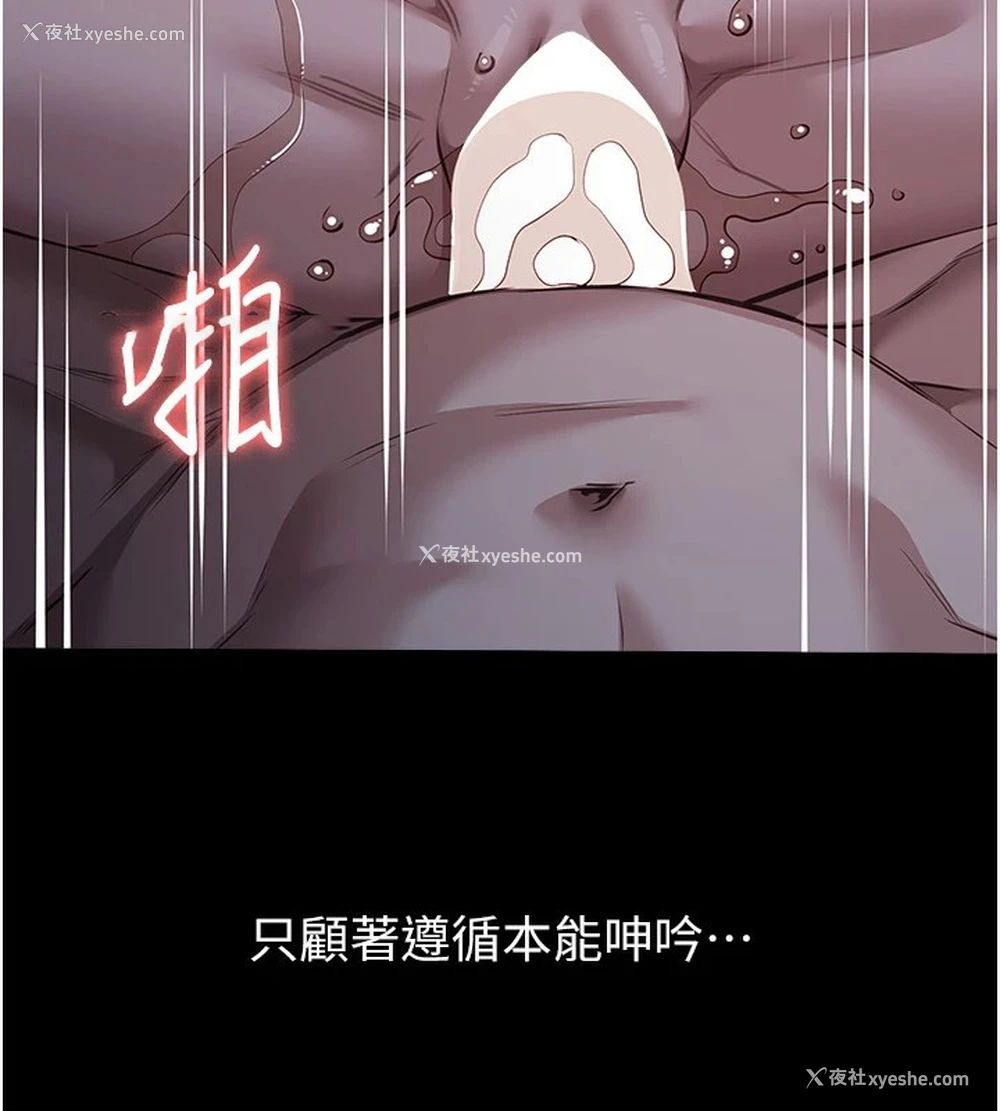 214P - 万能履历表