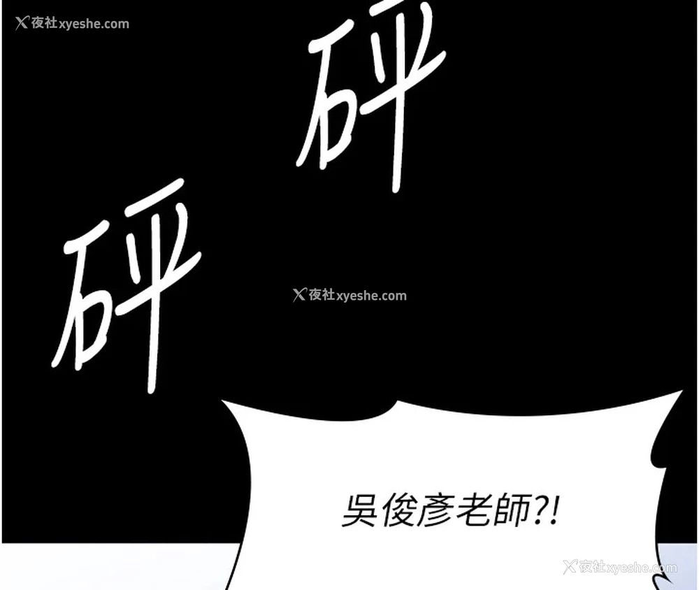 242P - 万能履历表