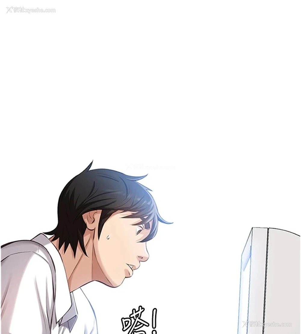 1P - 万能履历表