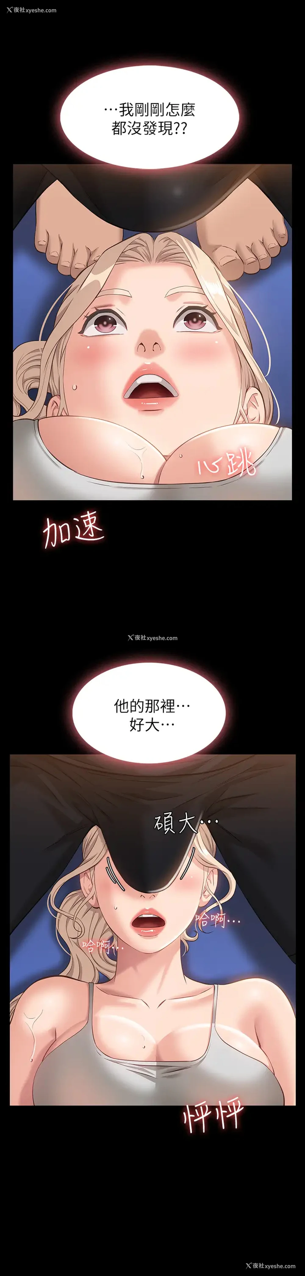 41P - 万能履历表