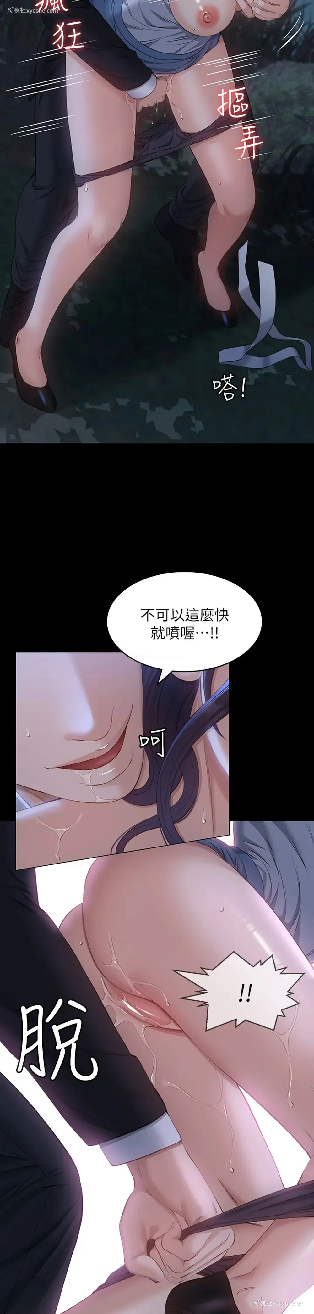 33P - 万能履历表