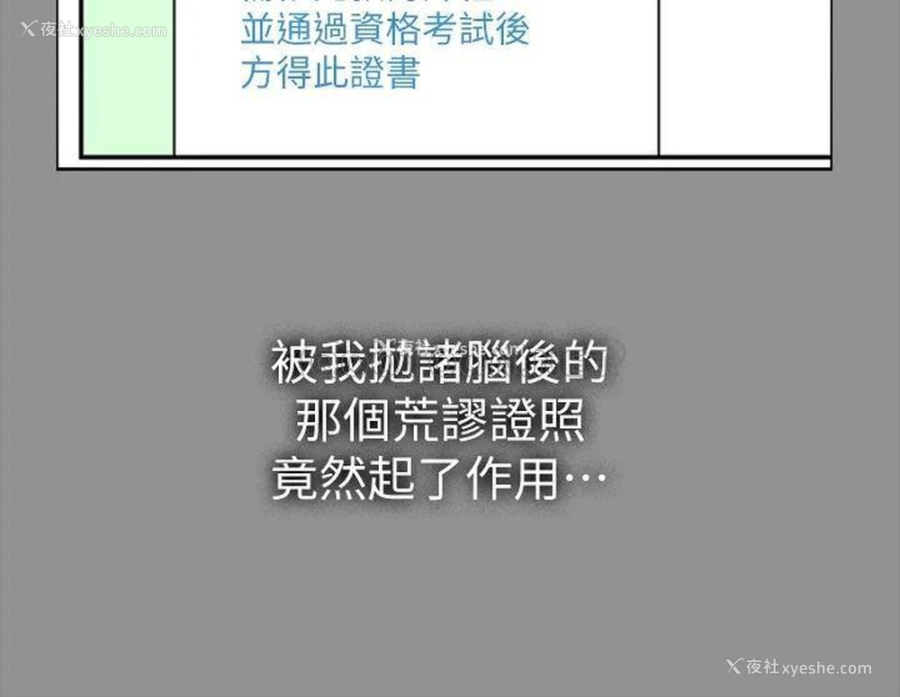 7P - 万能履历表