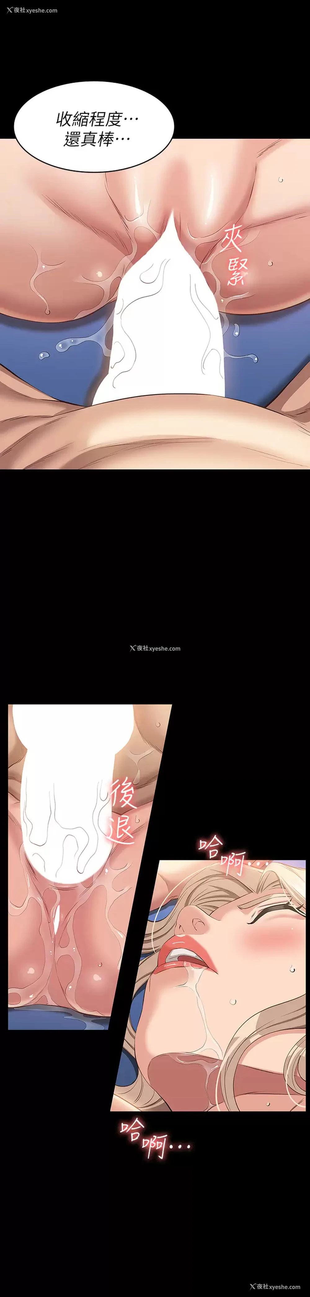 17P - 万能履历表