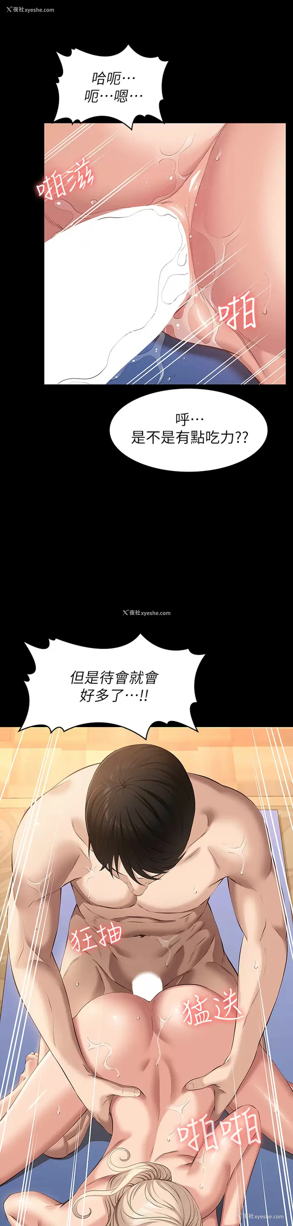 29P - 万能履历表