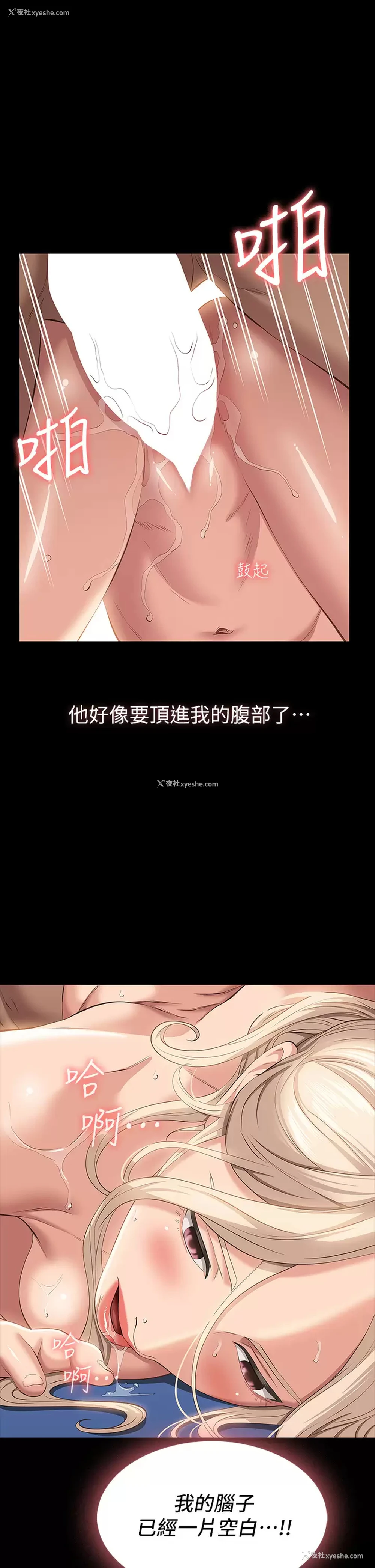 32P - 万能履历表