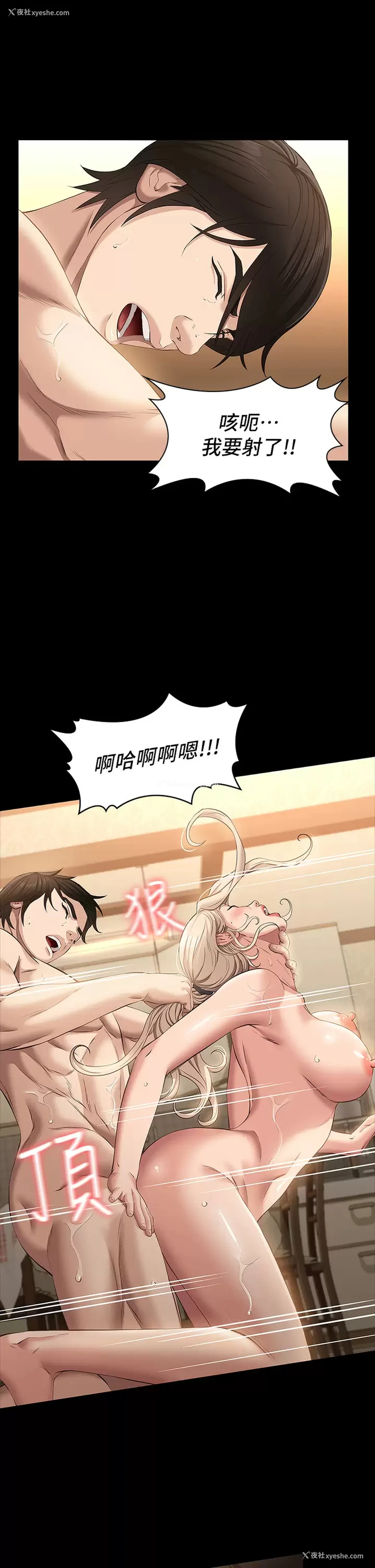 36P - 万能履历表