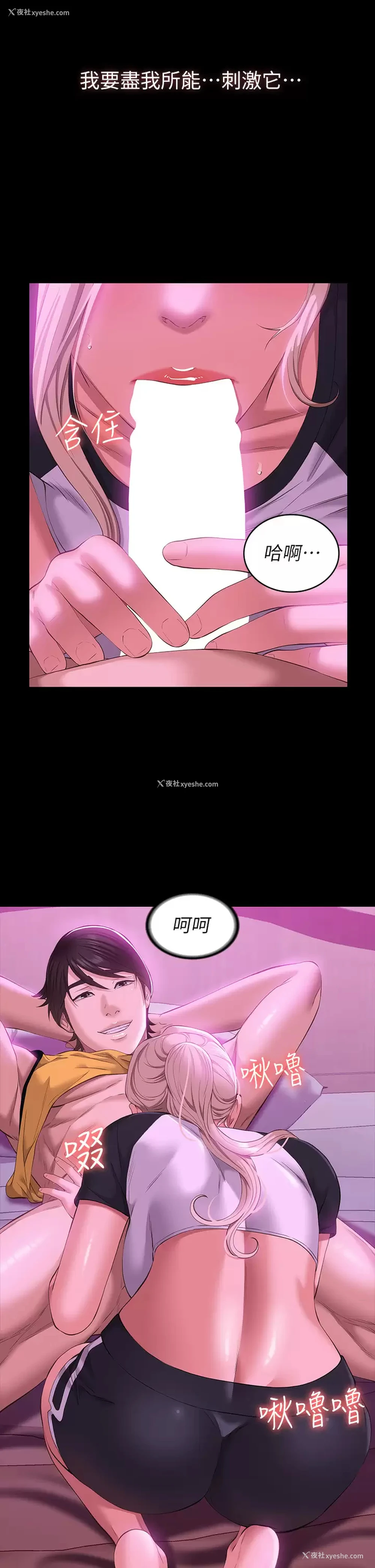 38P - 万能履历表