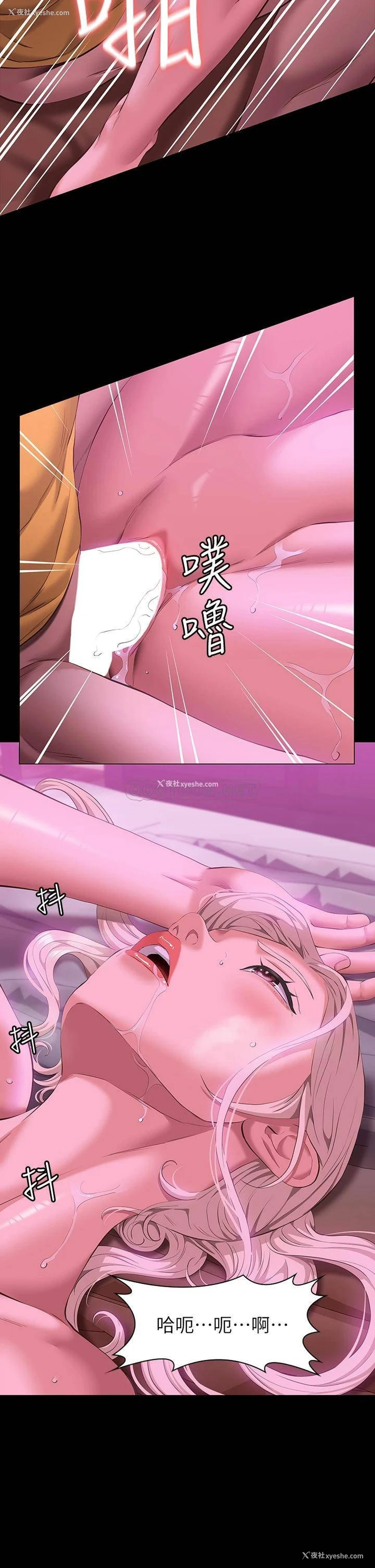 37P - 万能履历表