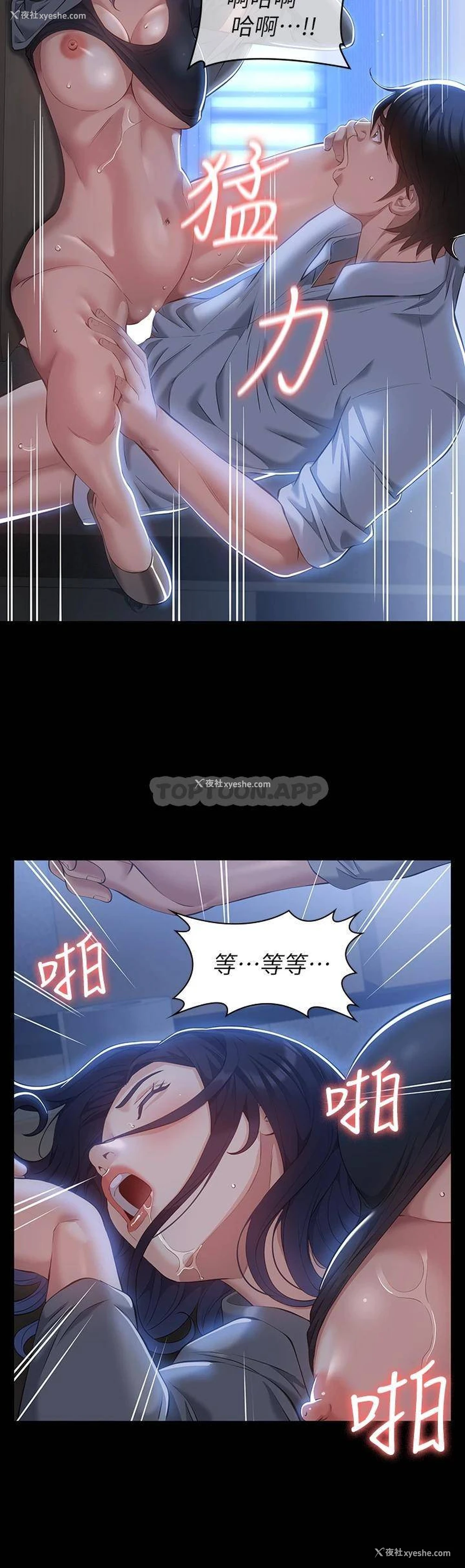 44P - 万能履历表