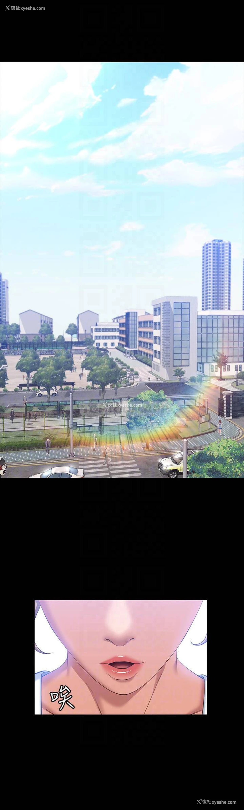 6P - 万能履历表