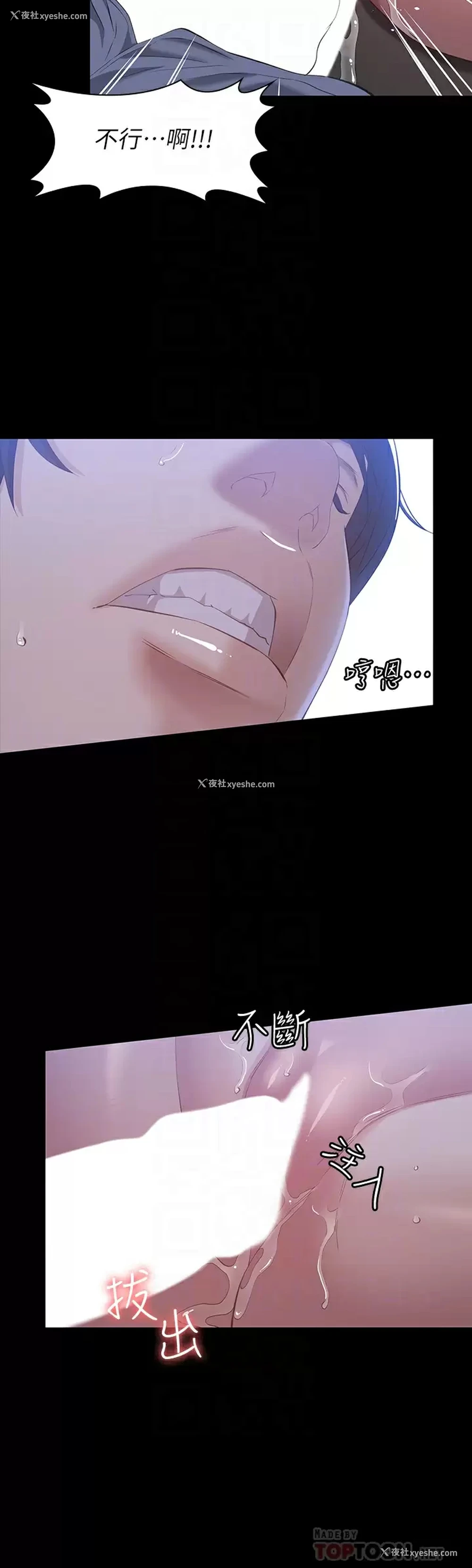 12P - 万能履历表
