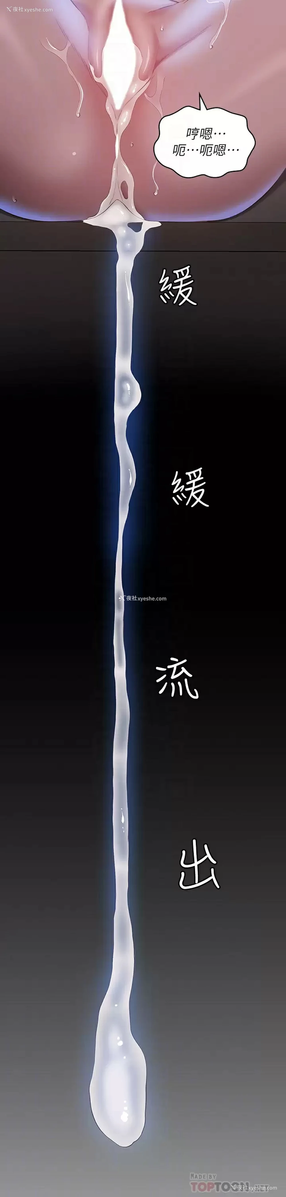 14P - 万能履历表