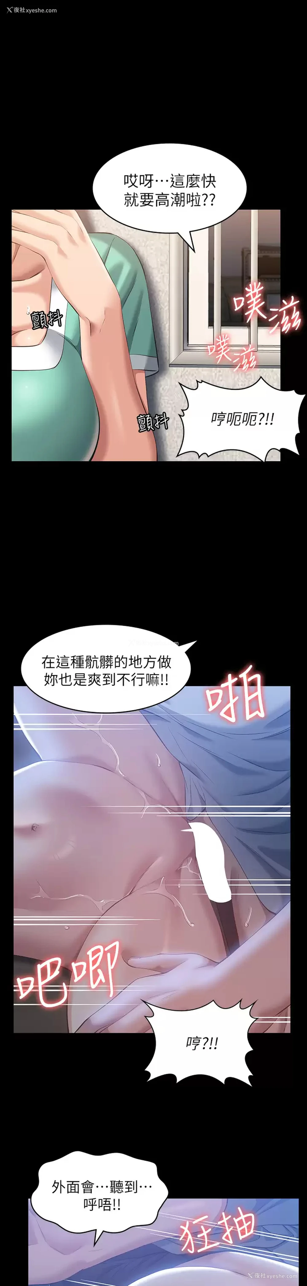 1P - 万能履历表