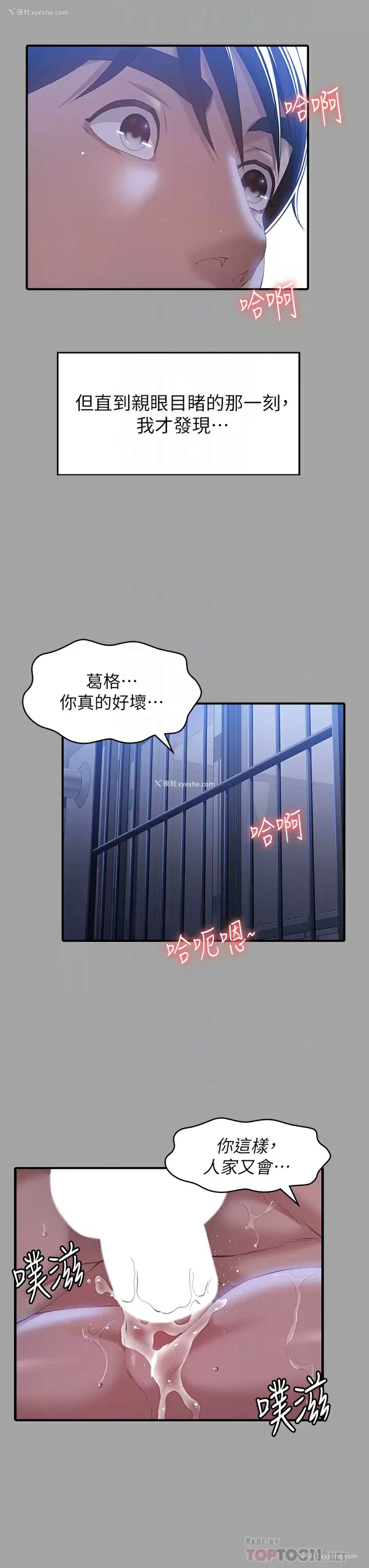 12P - 万能履历表
