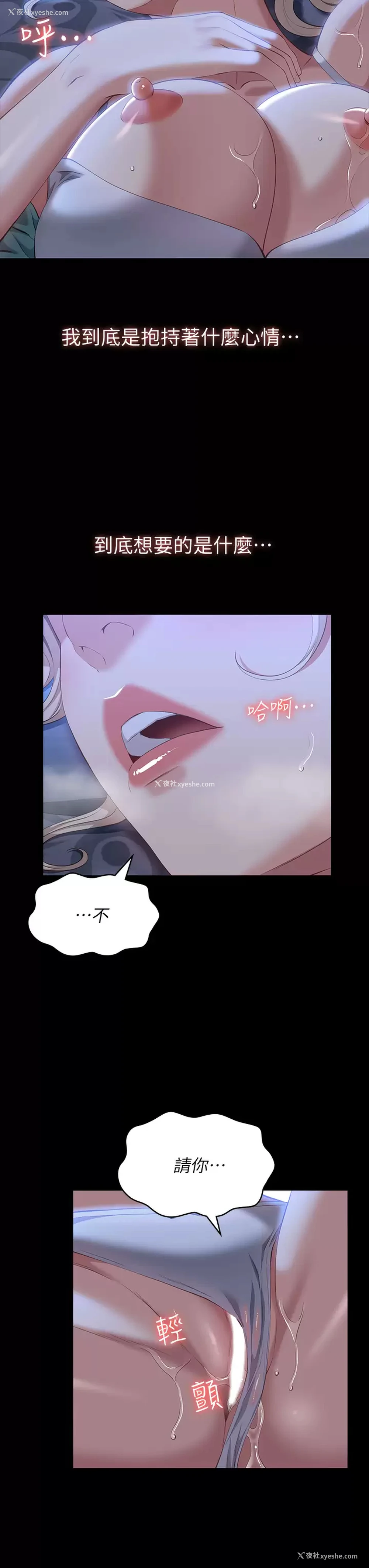 23P - 万能履历表